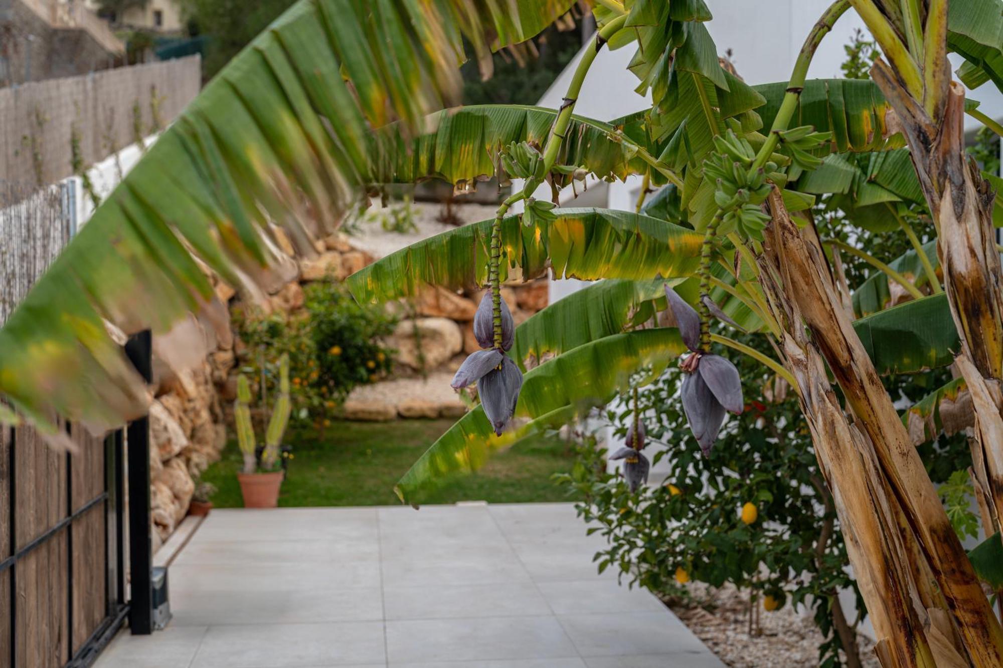 Villa Ibiza Style With Pool By Prime Spanish Holidays *